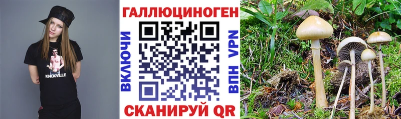 купить   Торжок  ОМГ ОМГ маркетплейс  Псилоцибиновые грибы прущие грибы 