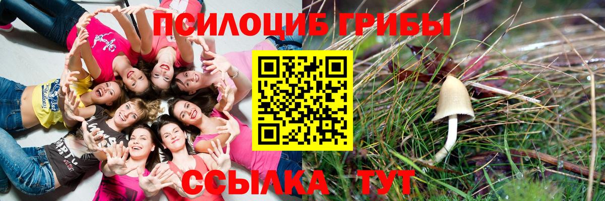 Галлюциногенные грибы мицелий Торжок
